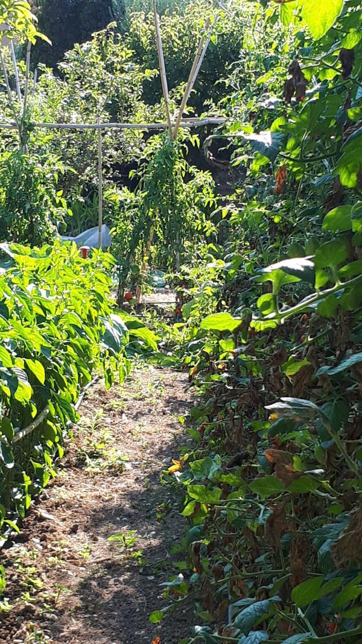 B&B Il Giardino Di Gabri Řím Exteriér fotografie