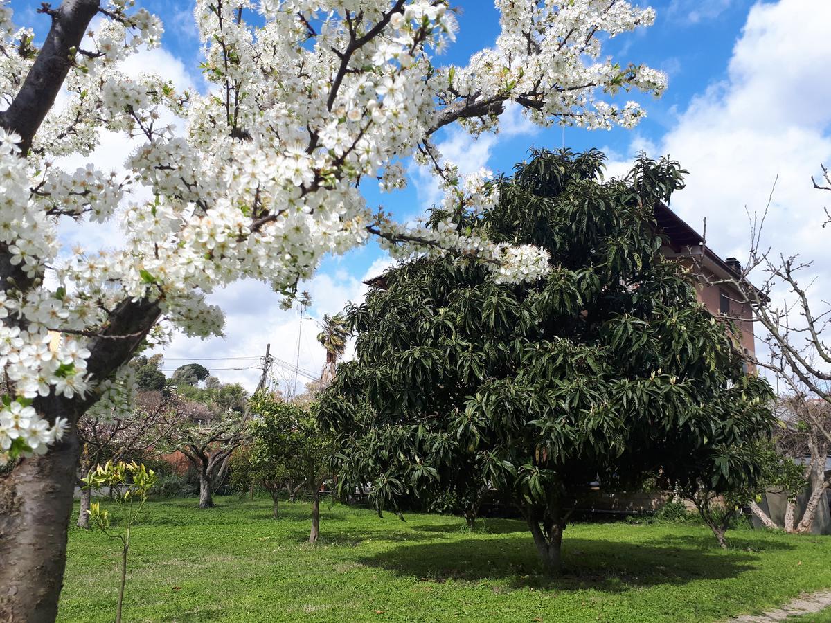 B&B Il Giardino Di Gabri Řím Exteriér fotografie